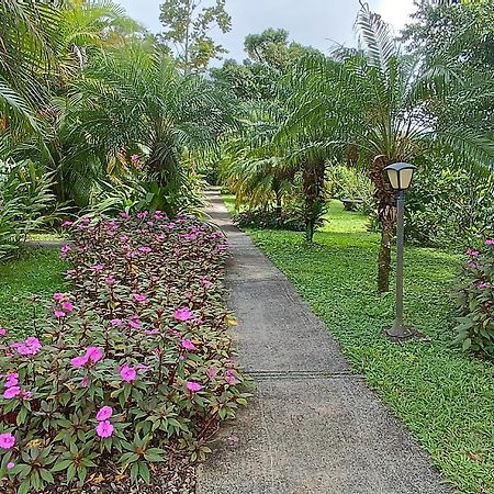 Lakegardens Arenal Condos นวยโว อาเรนัล ภายนอก รูปภาพ