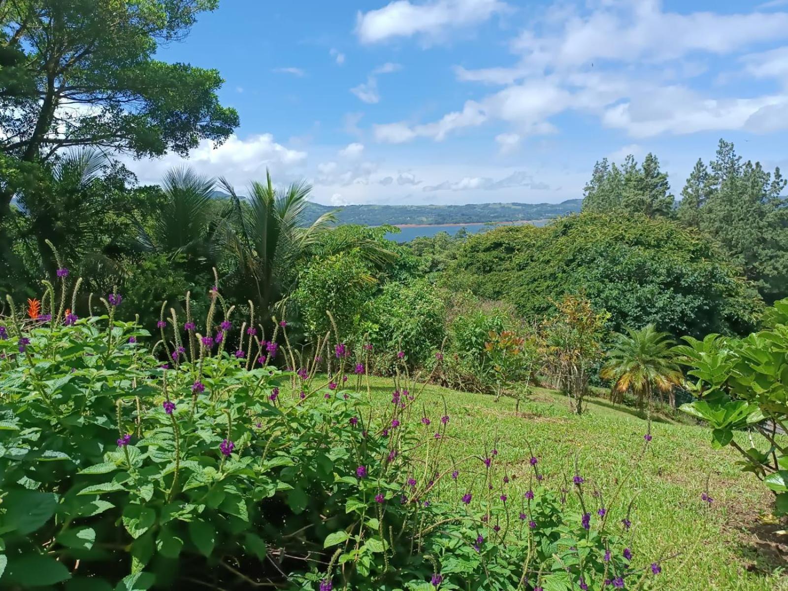 Lakegardens Arenal Condos นวยโว อาเรนัล ภายนอก รูปภาพ
