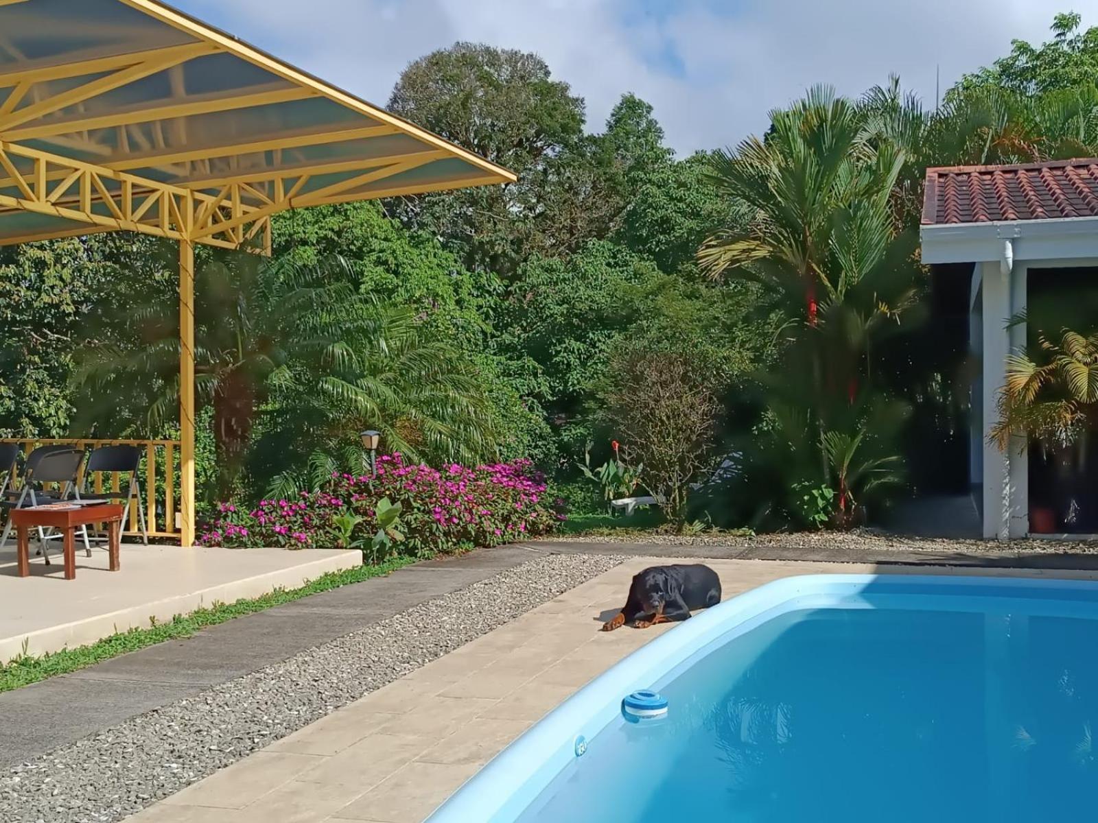 Lakegardens Arenal Condos นวยโว อาเรนัล ภายนอก รูปภาพ