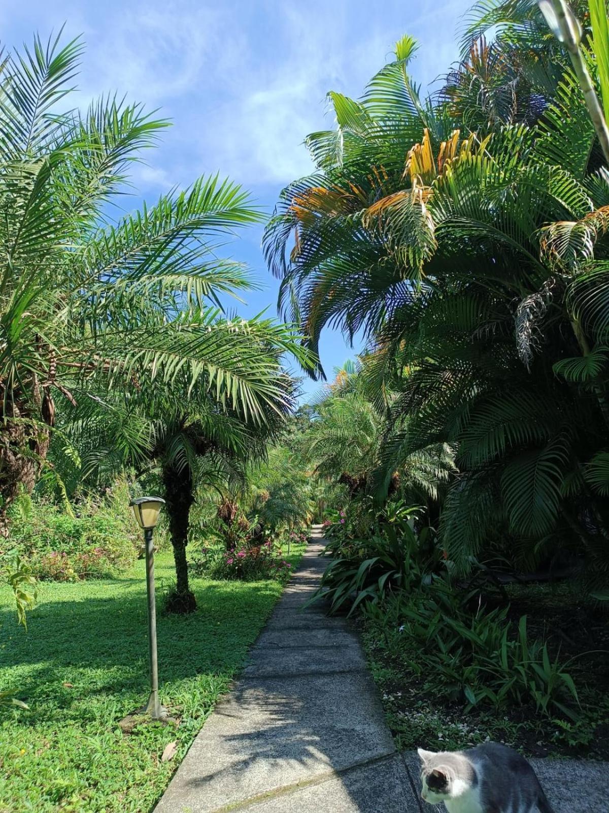 Lakegardens Arenal Condos นวยโว อาเรนัล ภายนอก รูปภาพ